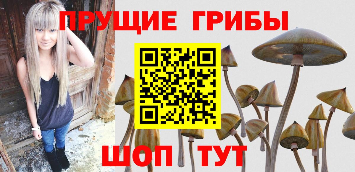 Псилоцибиновые грибы прущие грибы  Галлюциногенные грибы ЛСД  Каменск-Уральский  наркота  Вход с VPN 